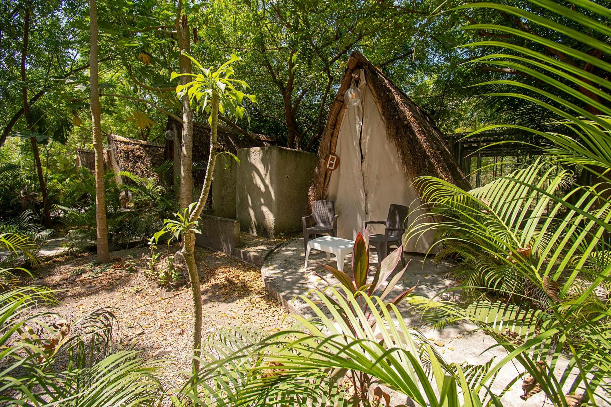 Hotel Amalife Club & Tierra Bomba